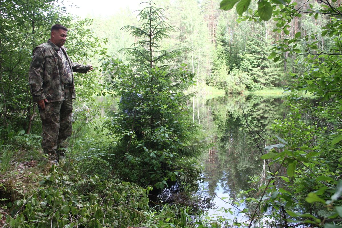 Игорь Седунов показывает место, где поисковики нашли в слое ила танк Т-34. Он лежал на глубине 9 метров.