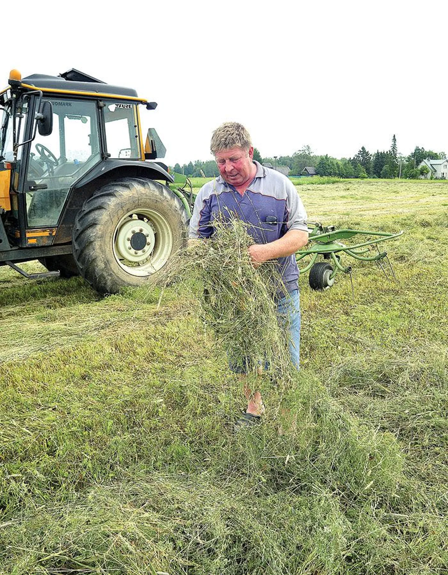 Kuigi hobusekasvataja Urmas Saks tõdes eile Sääsekõrva külas üleskaarutatud heina katsudes, et see krõbiseb juba päris ilusti, ei plaaninud ta heina rullipanekut enne laupäeva.