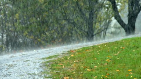 Nedēļa iesāksies ar lietainu laiku