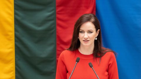 Ruginiene: Jaunajā Lietuvas valdībā līdzšinējie satiksmes un kultūras ministri nestrādās