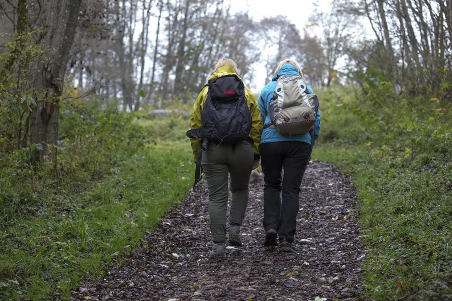 Linna plaan augusti lõpuks järve ääres kulgev terviserada korrastada sai tagasilöögi, sest ainus pakkumine osutus eeldatust ligi kaks korda kallimaks. Majandusameti juhataja kinnitab aga, et töö maht mõeldakse uuesti läbi ning tegemata see kindlasti ei jää.