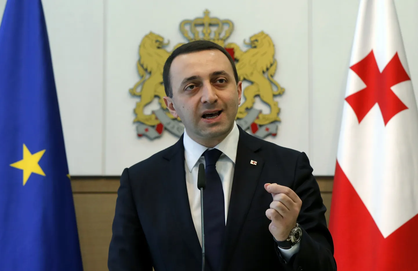 Gruusia peaminister Irakli Garibašvili