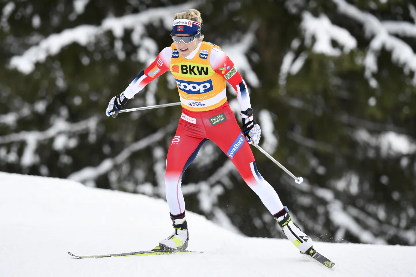 Therese Johaug.