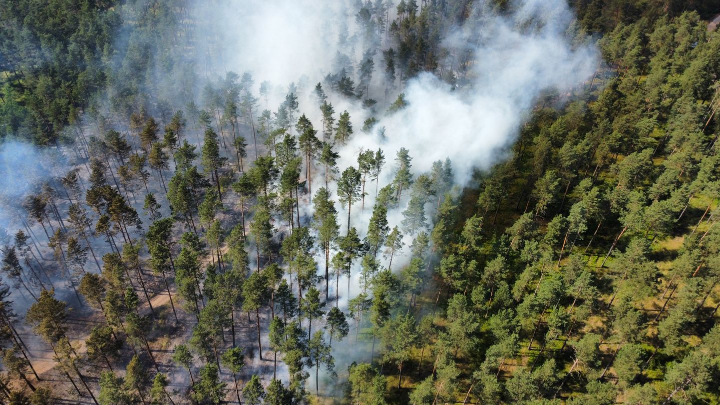 Meža ugunsgrēks Jaunciemā no drona lidojuma.