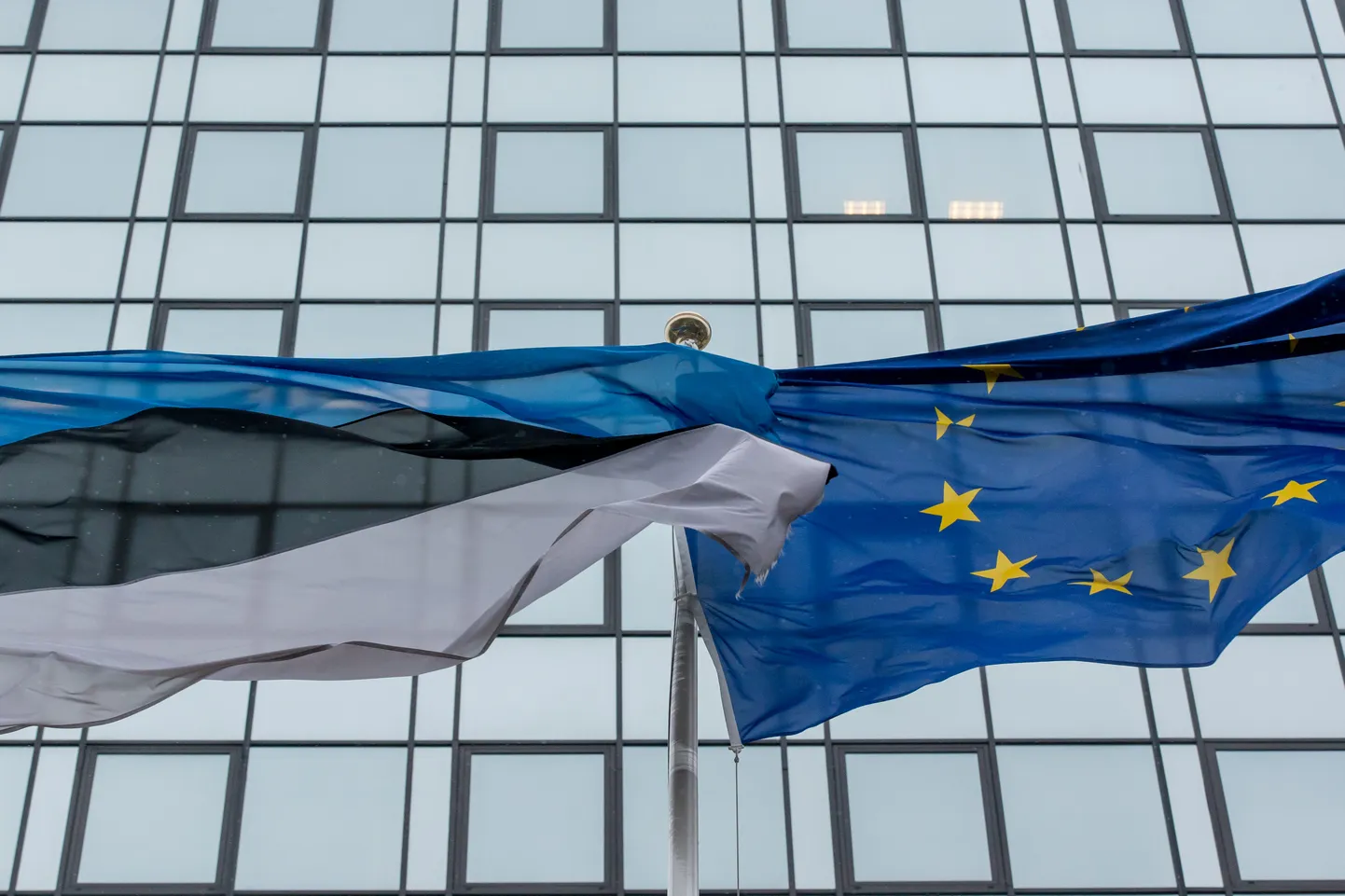 Eesti ja Euroopa Liidu lipp.