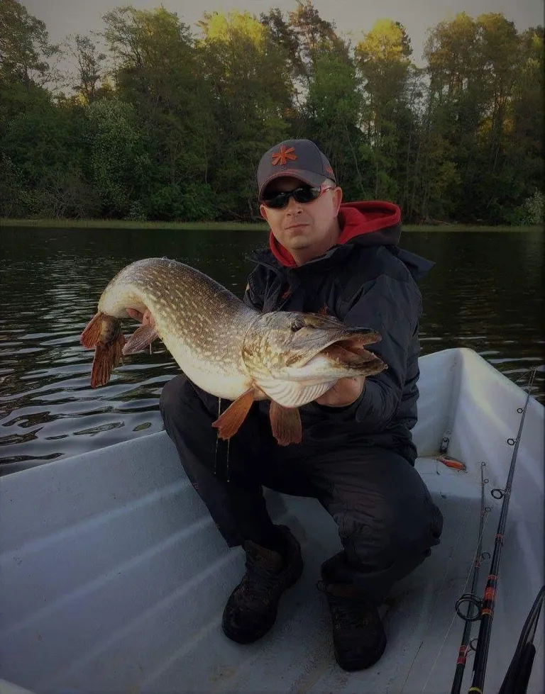 Seni kaalukaim kampaania «Vabasta suur haug!» käigus püütud kala – Erkki Mäeväli sai 11 kilogrammi raske ja 110 sentimeetrit pika haugi.