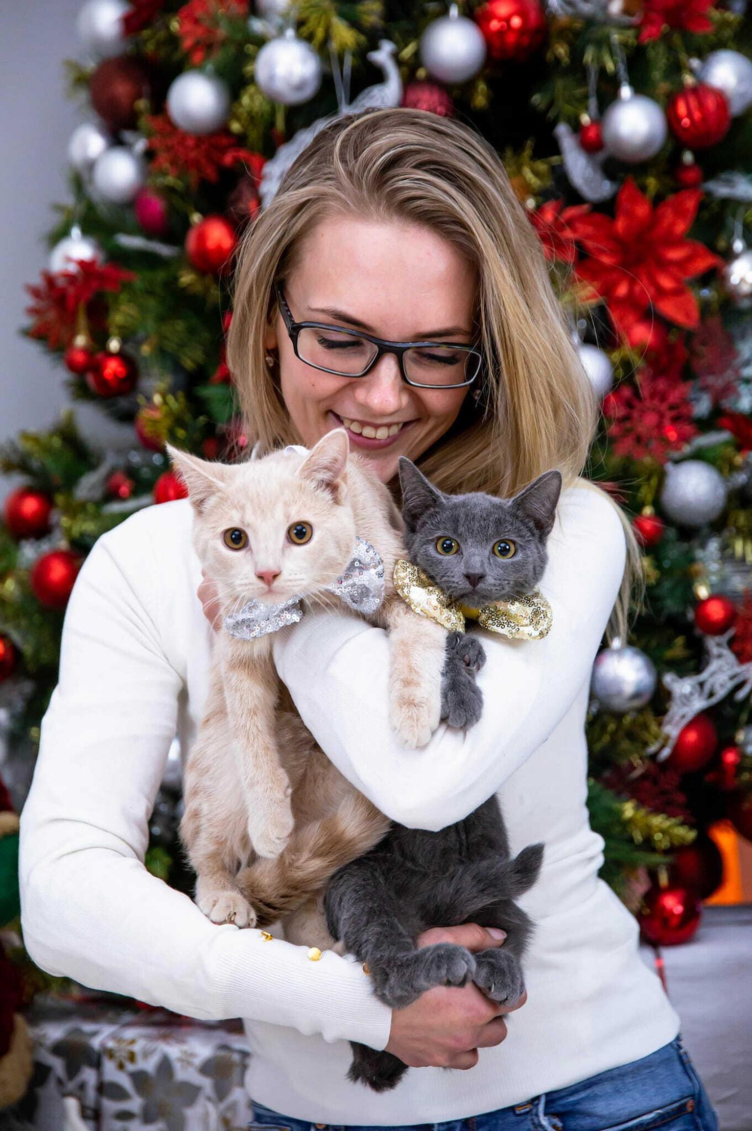Paikassi asutaja ja perenaine Virge Piisner on kolme aastaga uude koju aidanud ligikaudu 400 hüljatud kassi.