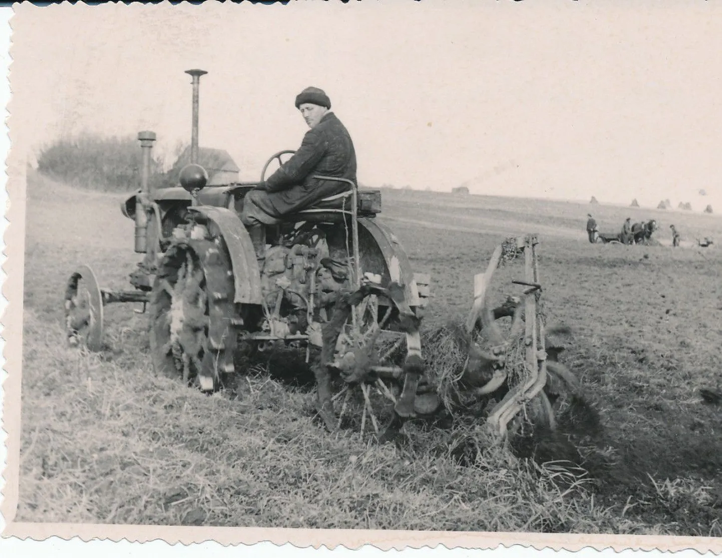 Kartulivõtt Esimese Mai kolhoosis. 
Foto aastast 1956.