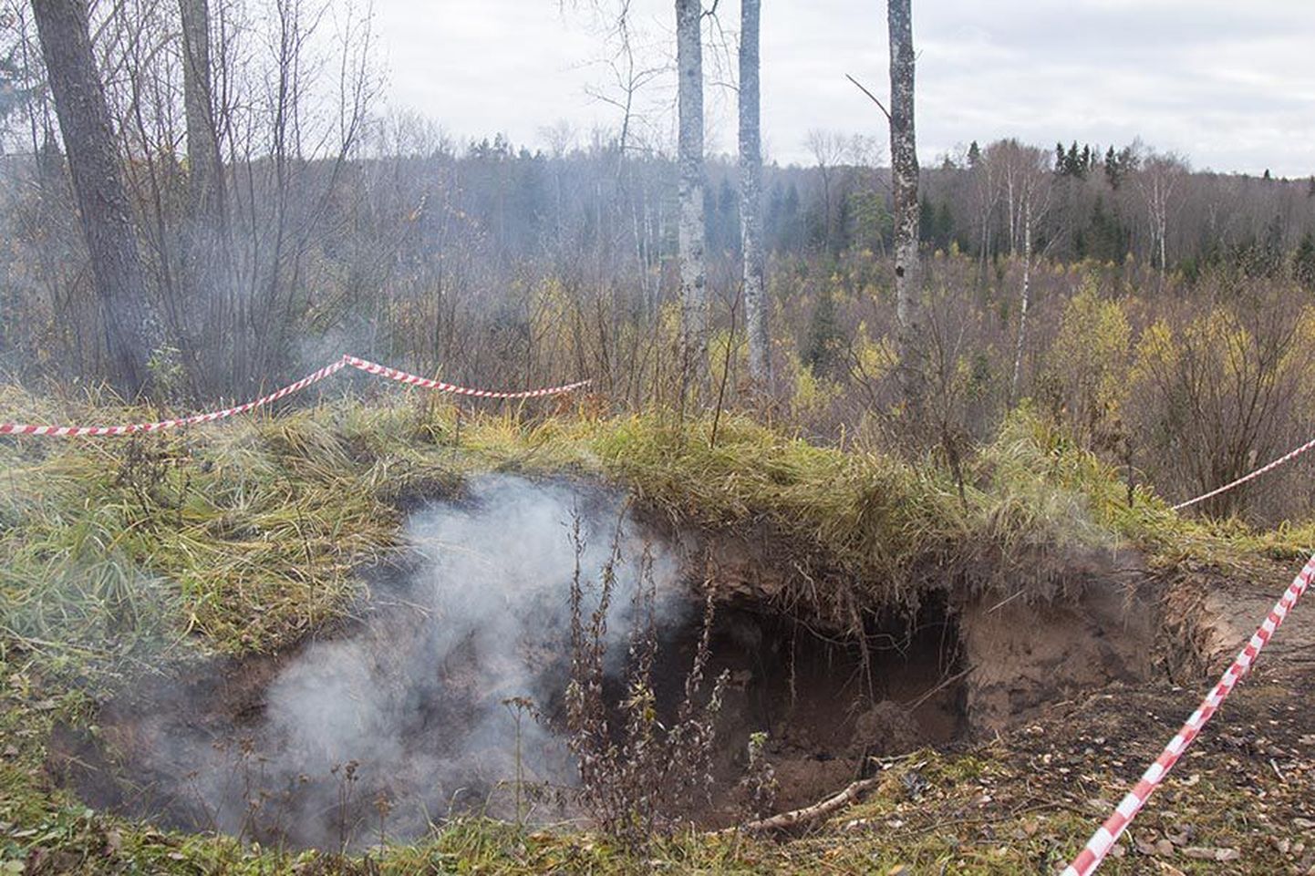 2010. aastal taastatud metsavennapunker hävis tules oktoobri viimasel nädalavahetusel.