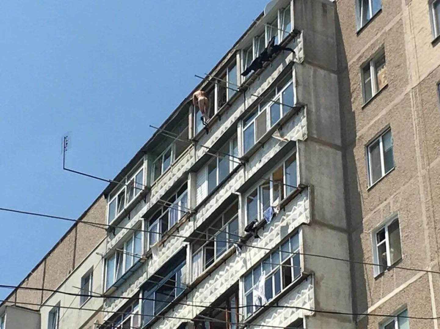 Фото статьи