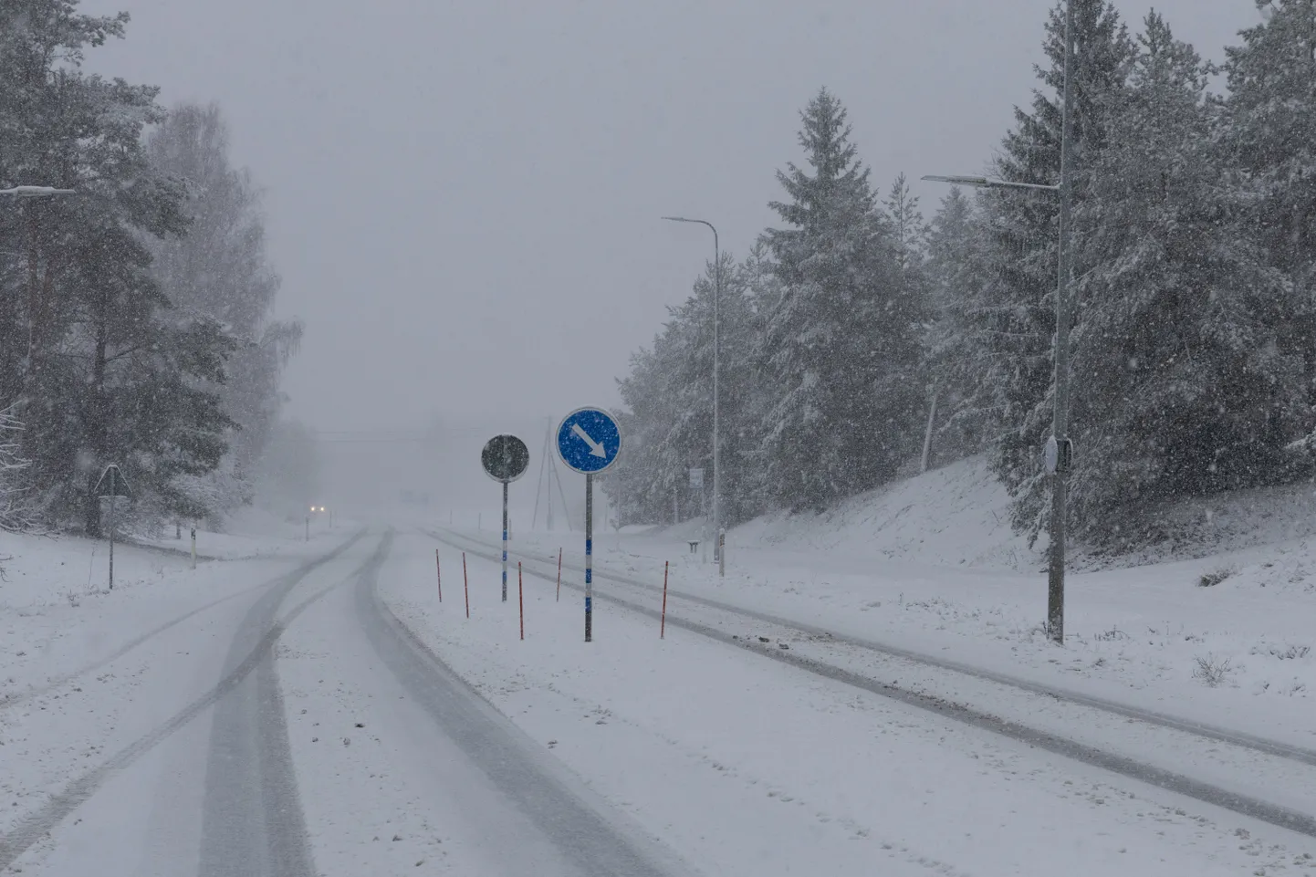 Läinud nädalavahetusel mahasadanud lumi tekitas küll hulga elevust, kuid ülemäära palju tööd lumi eeloleval talvel ilmselt ei paku.