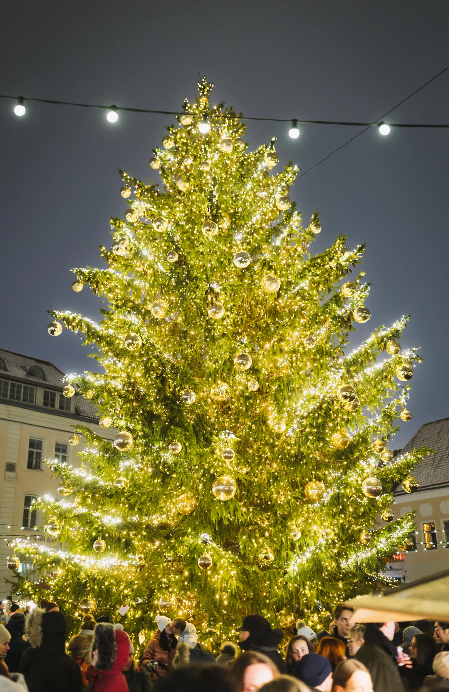 Tallinna jõulupuu