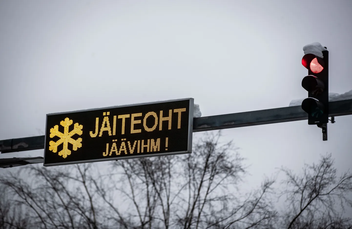 Фото статьи