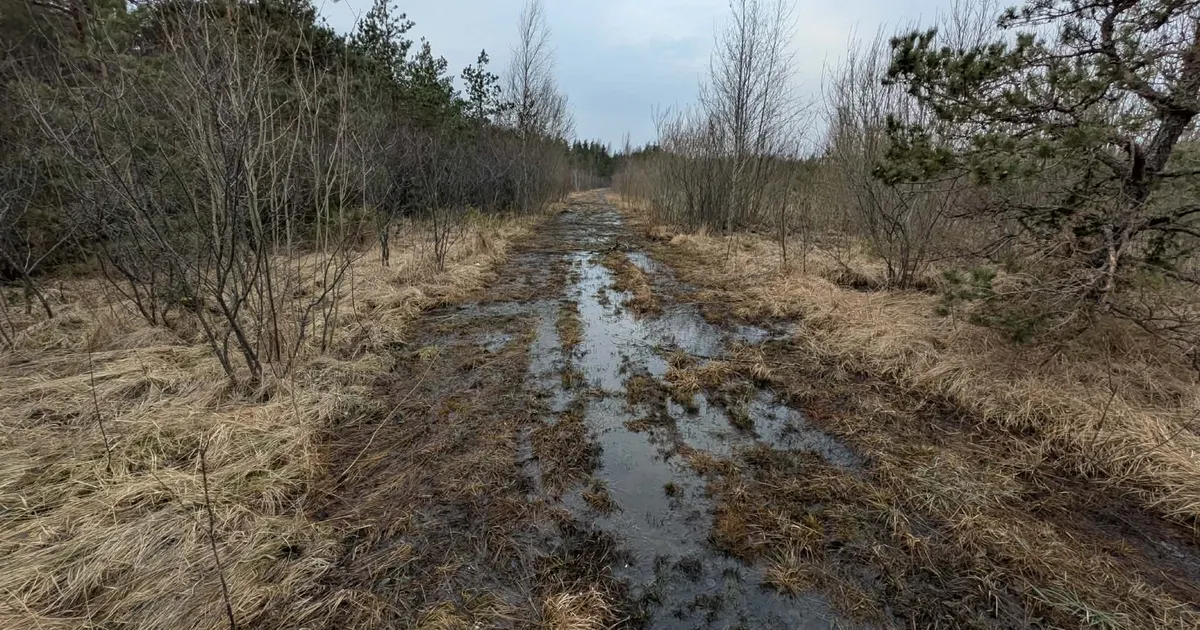 Linnulahe vaatetorni juurde uut laudteed ei ehitata