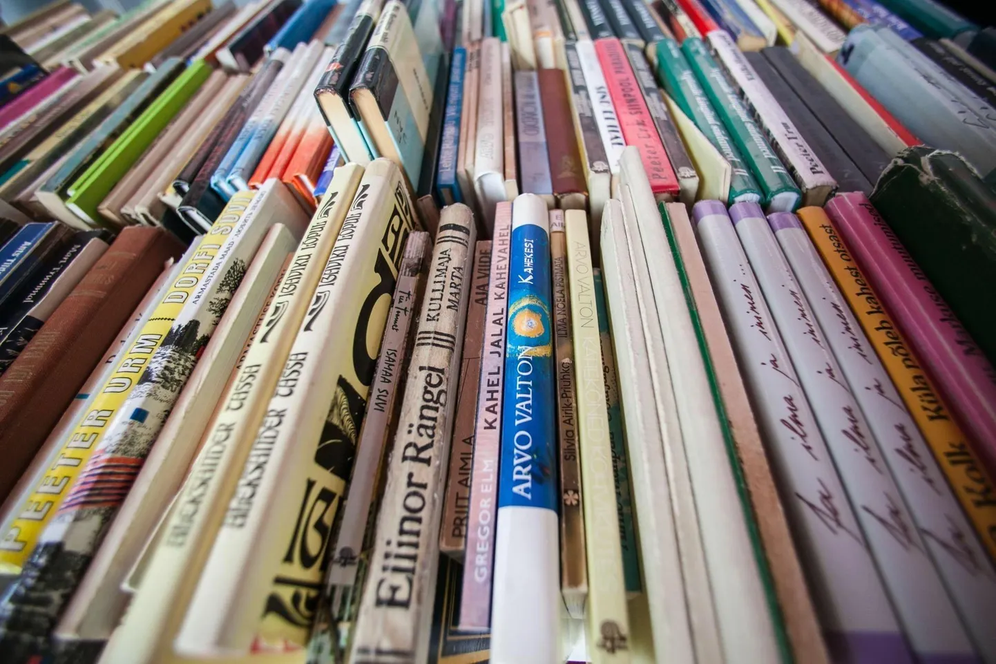 Raamatud. Pilt on illustratiivne.