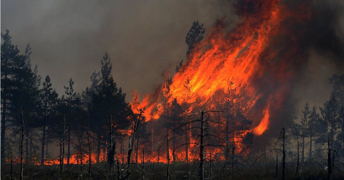 Venemaa Taas Hadas Augustineedusega Arhiiv Majandus