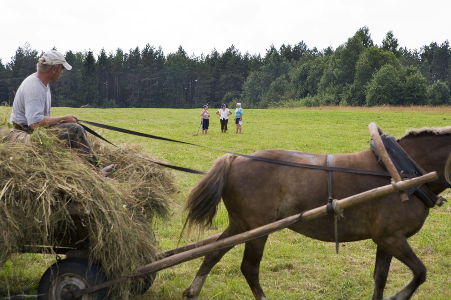 Rootsis on hobutööjõud jälle kõrges hinnas.