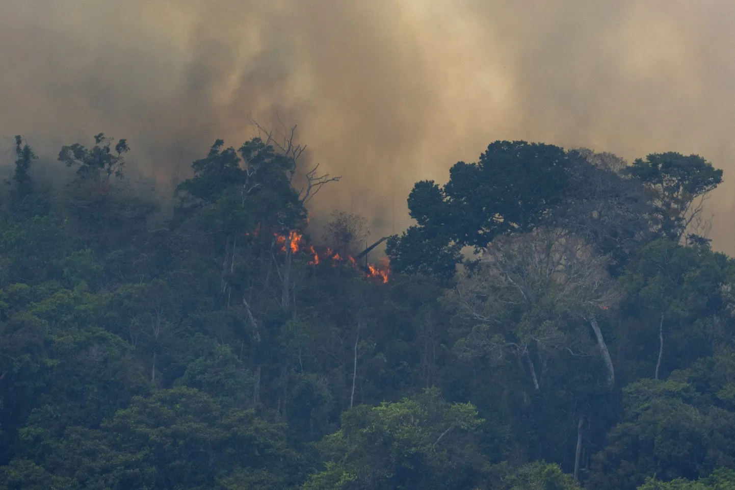 Tulekahju Brasiilias Amazonase vihmametsas 2019. aastal.