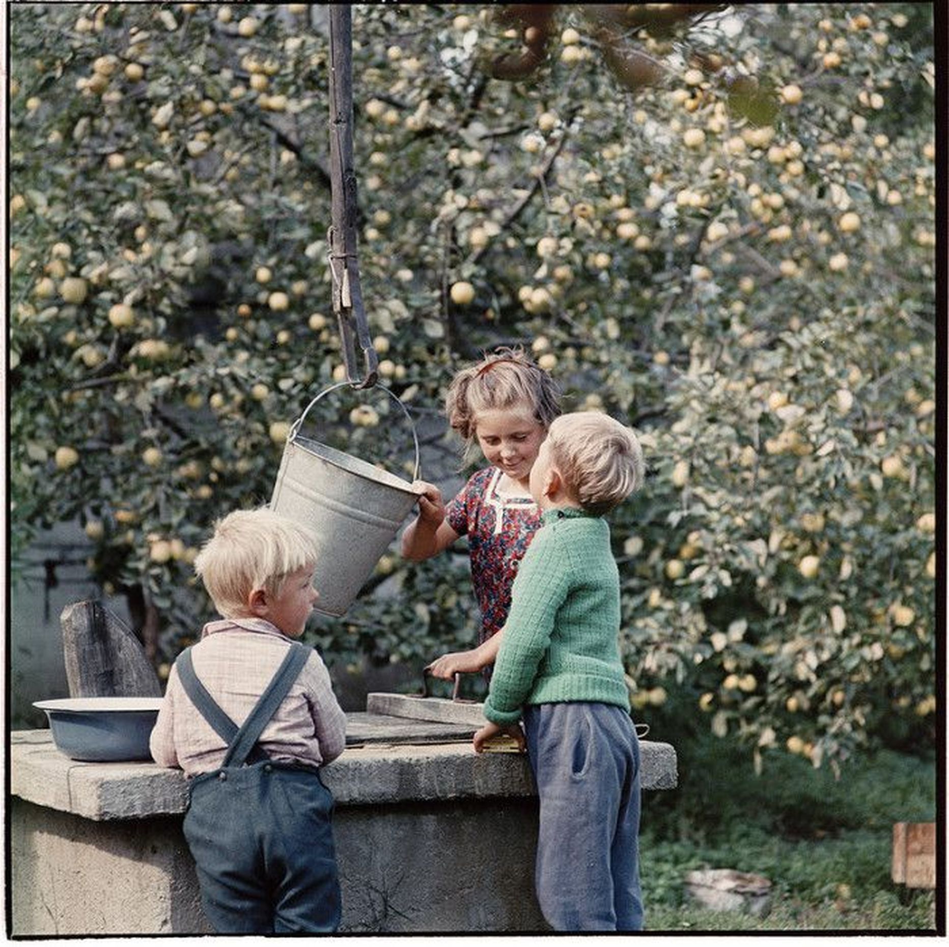 Kusagil maal. Lapsed võtavad ämbriga kaevust vett. 1966.