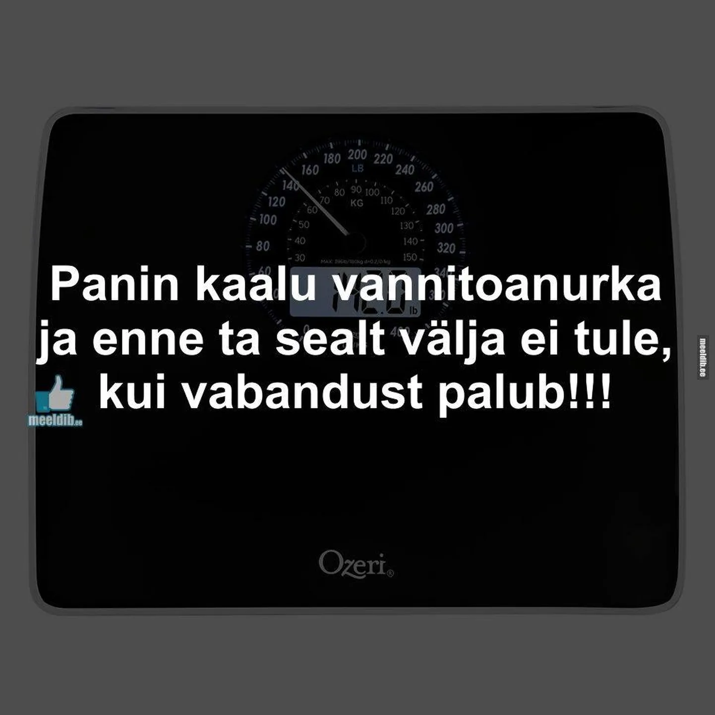 Artikli foto