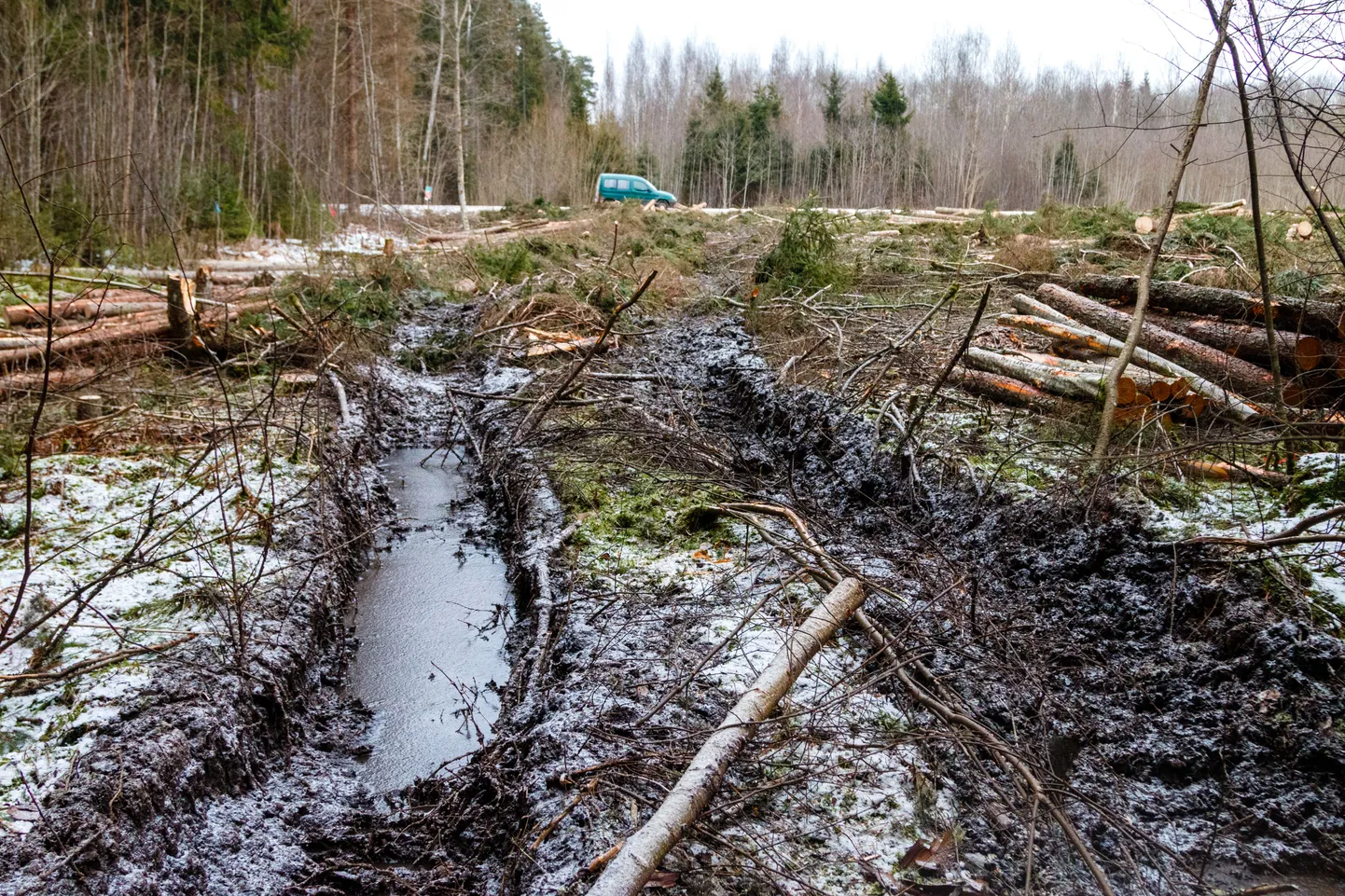 Raielank Valgamaal Uniküla lähistel.