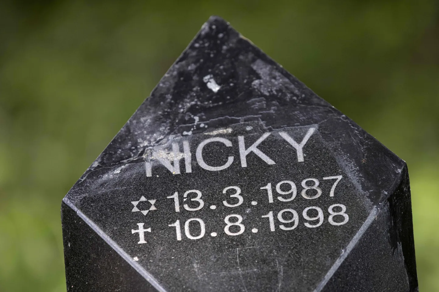Nicky Verstappeni hauakivi.