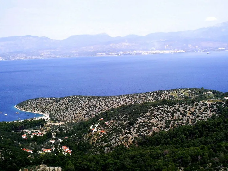 Artikli foto