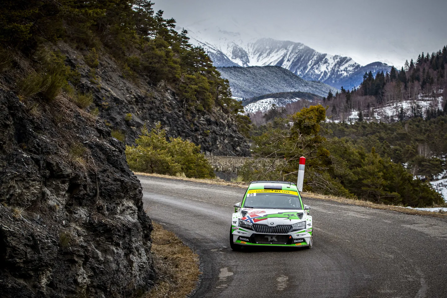 Andreas Mikkelseni juhitud Škoda Fabia Rally2 auto, mis on EM-sarja üks kõige enim kasutatavaid automarke.