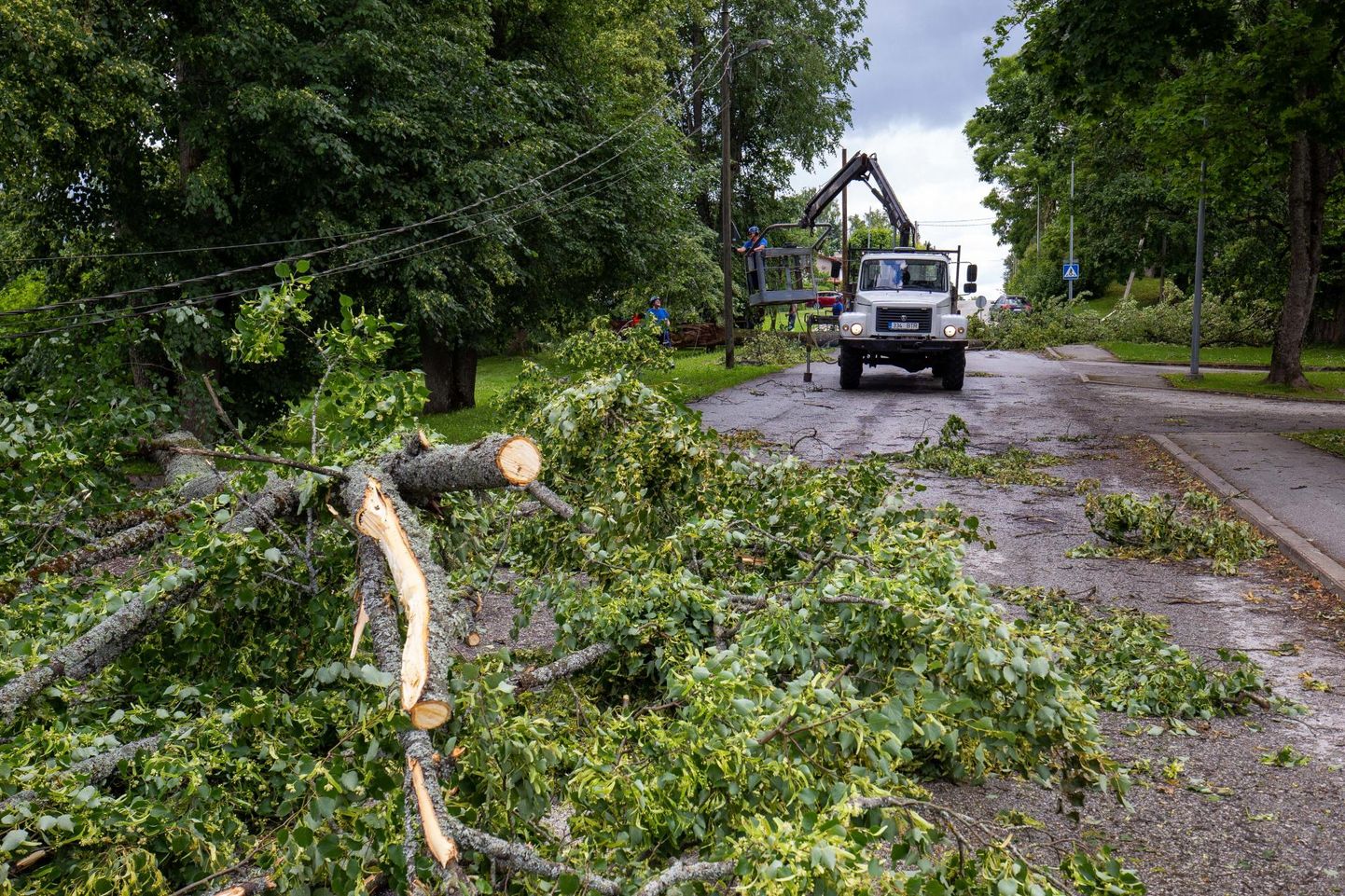 Mida rohkem sügise poole, seda tihemini tuleb päästjatel kõrvaldada tugeva tuule tõttu teedele murdunud puid. Pilt on illustratiivne.