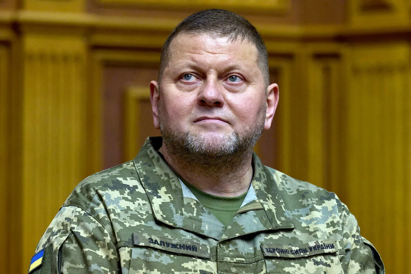 Ukrainas bruņoto spēku virspavēlnieks Valērijs Zalužnijs