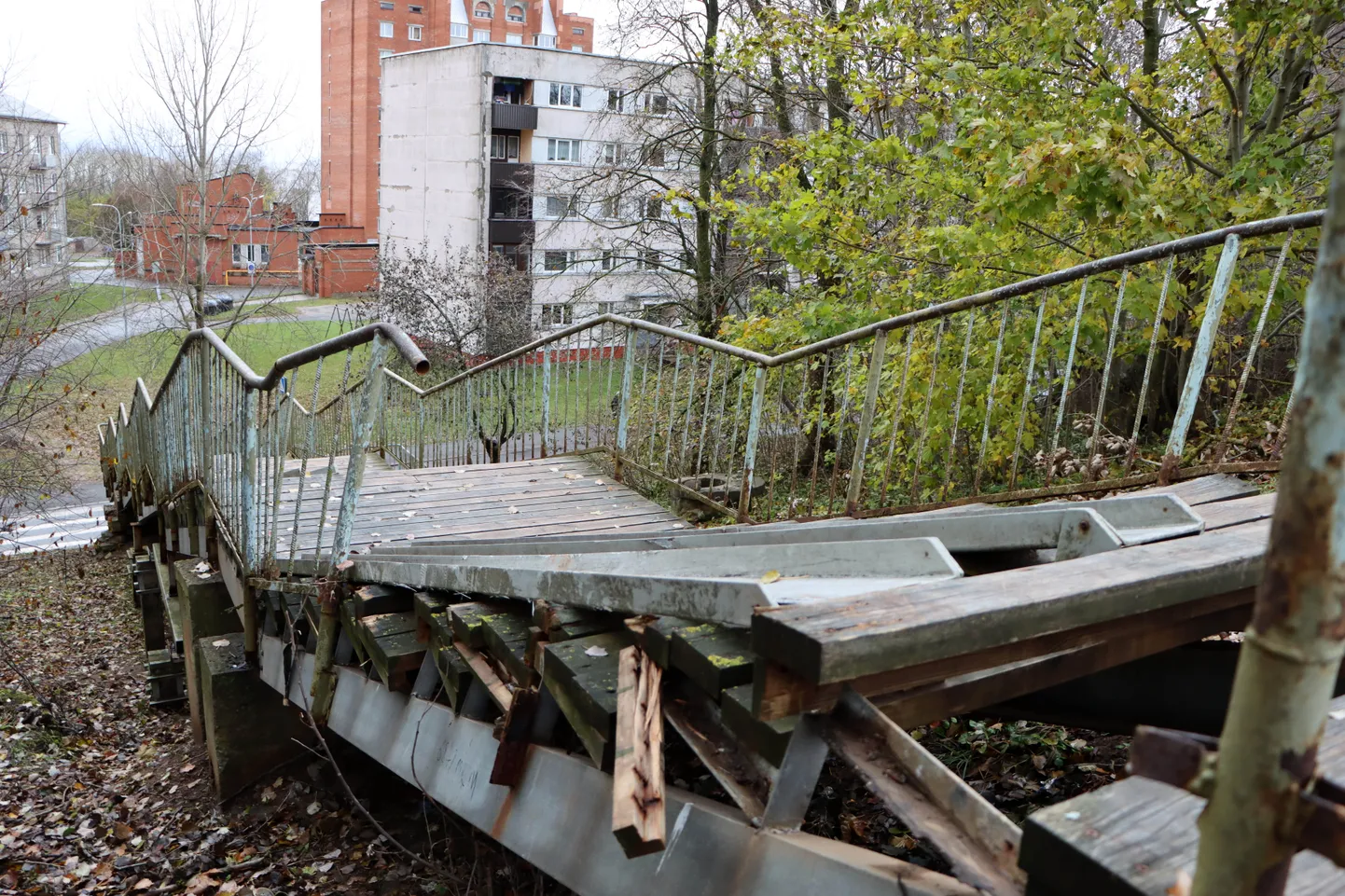 Ураганные ветры разрушили старую лестницу, заставив городские власти срочно искать возможности для ее восстановления.