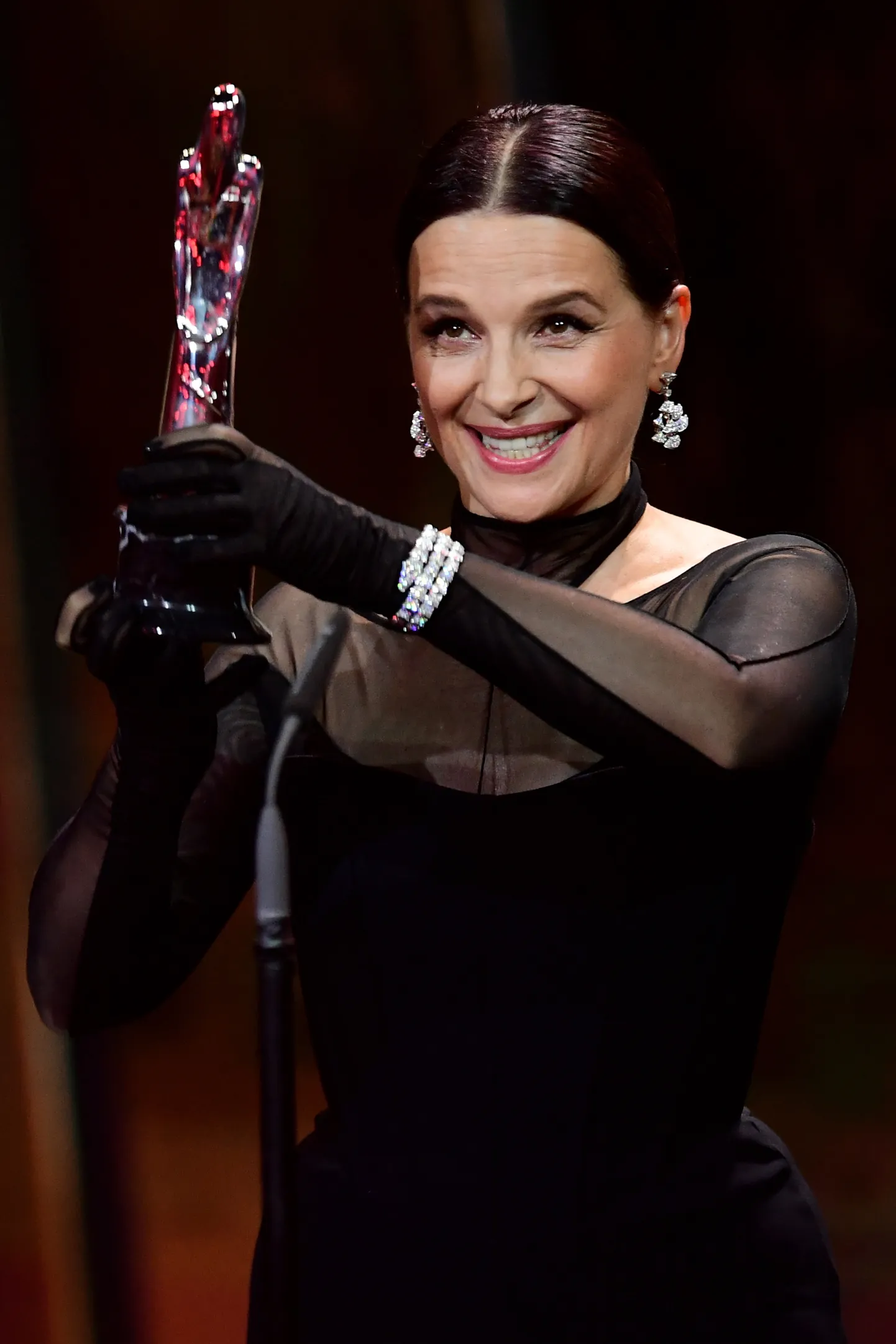 Juliette Binoche – European Achievement in World Award