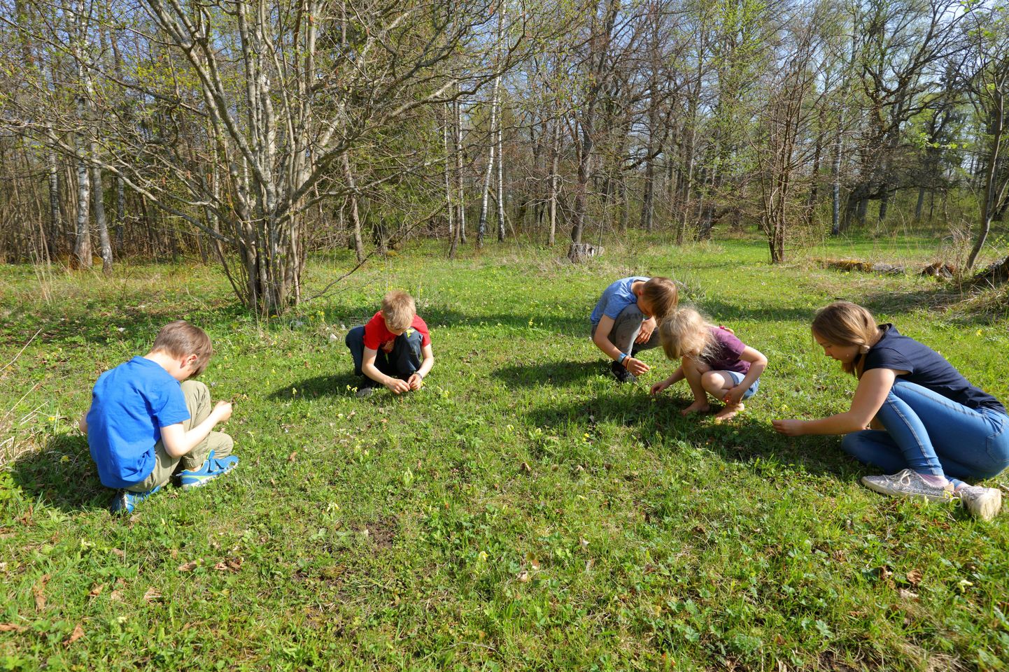 Mõninga juhendamisega saavad nurmenukuhuvilised lapsedki vaatlustega edukalt hakkama.