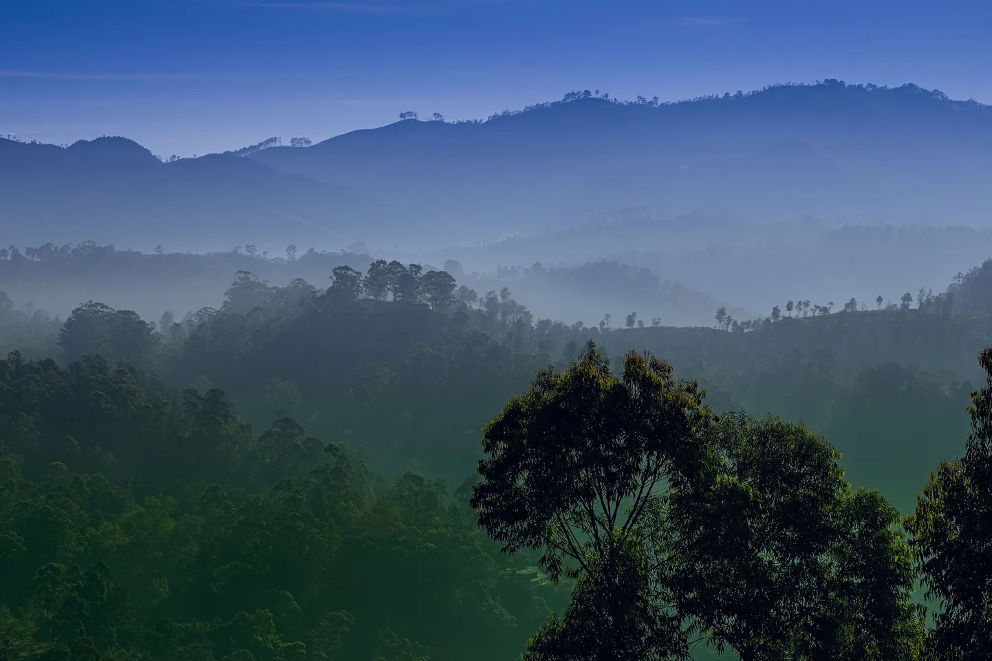 Enna mäed, Sri Lanka