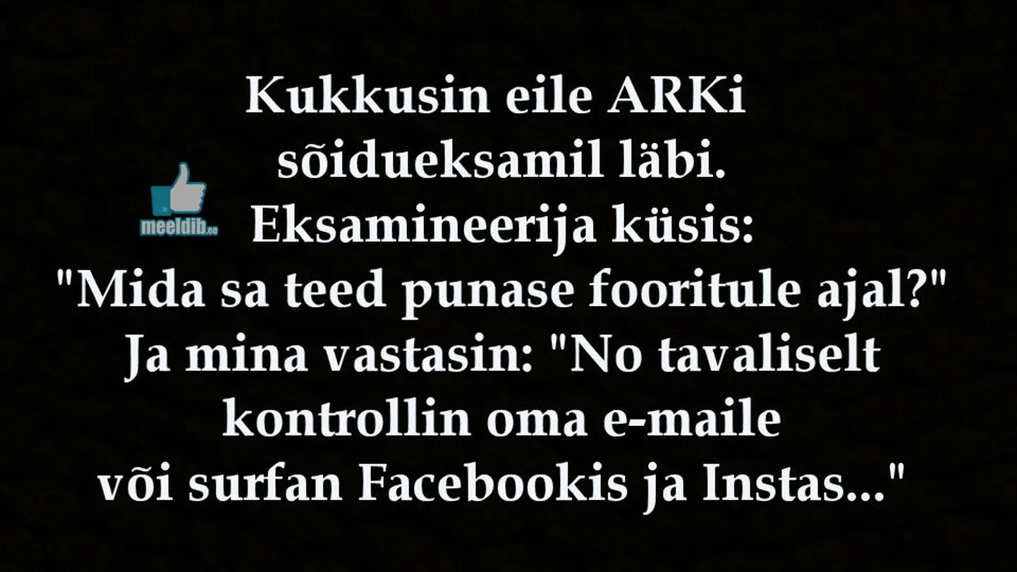 Artikli foto
