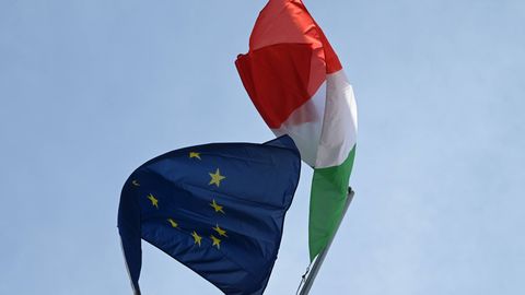 Itaalia loodab külmutatud EL-i raha kätte saada