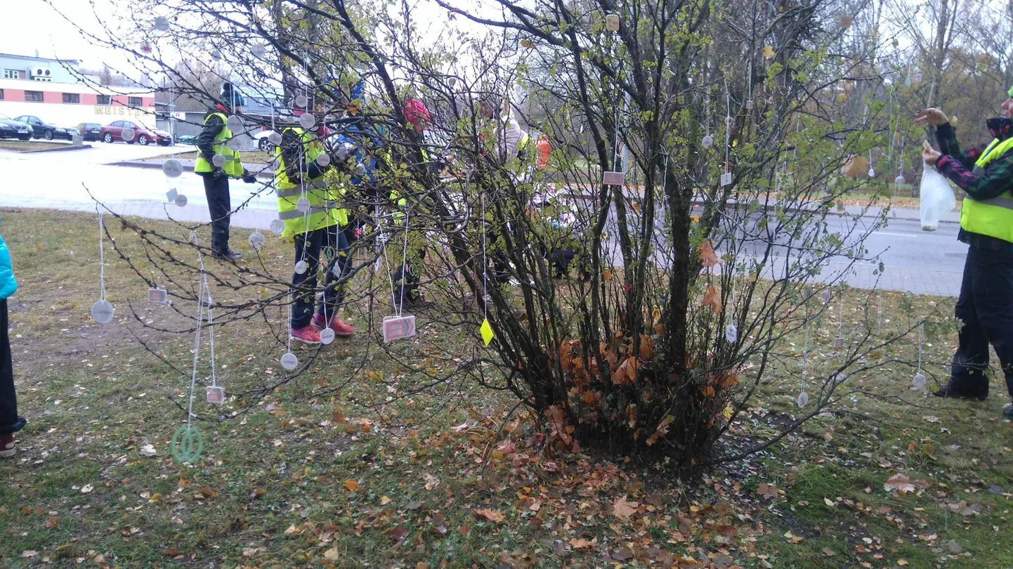 Helkuripuu Tõrvas.