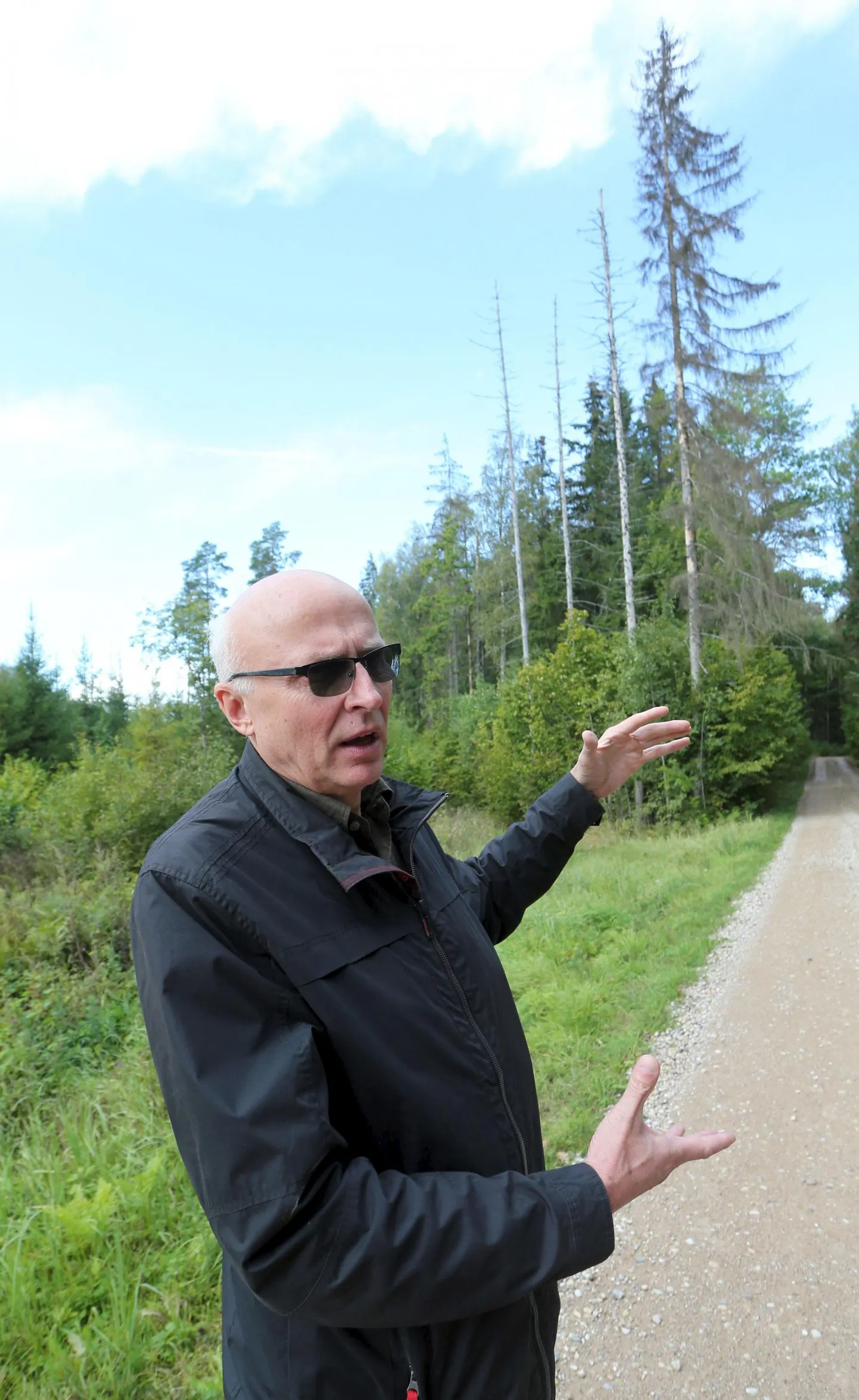 RMK peametsaülema Andres Sepa sõnul on üraskid Tulimäel maa alla talvituma läinud ning raiega saaks nad kätte alles kevadel.