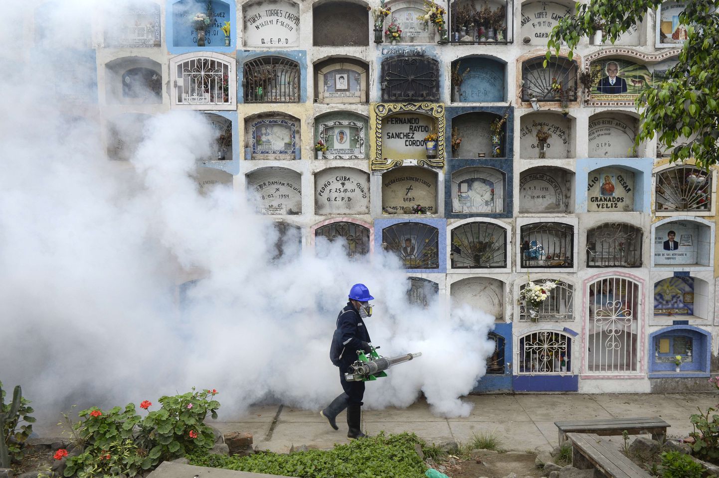Zika viiruse leviku tõkestamine suitsu abil Peruu pealinna Lima lähedal asuval Esperanza surnuaial.