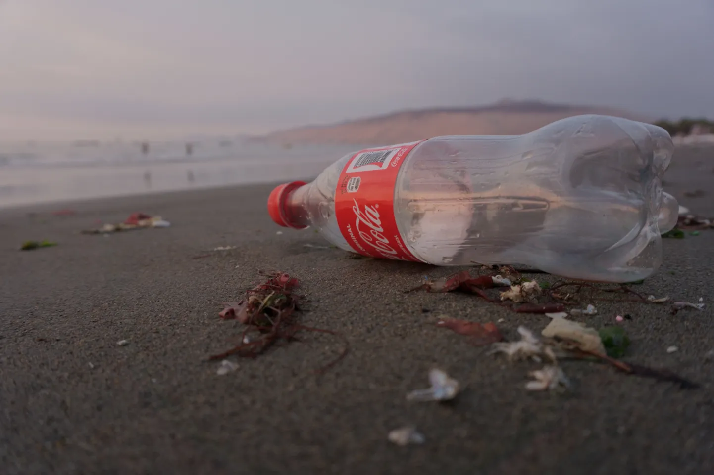 "Coca-Cola" plastmasas pudele.