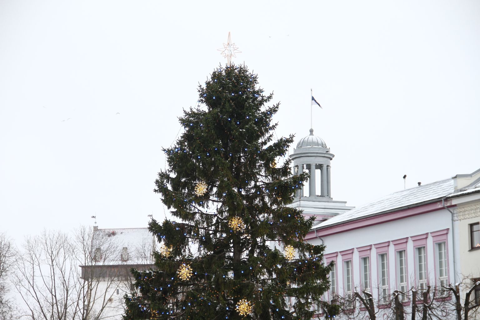 Новогодняя ёлка на Петровской площади в Нарве.