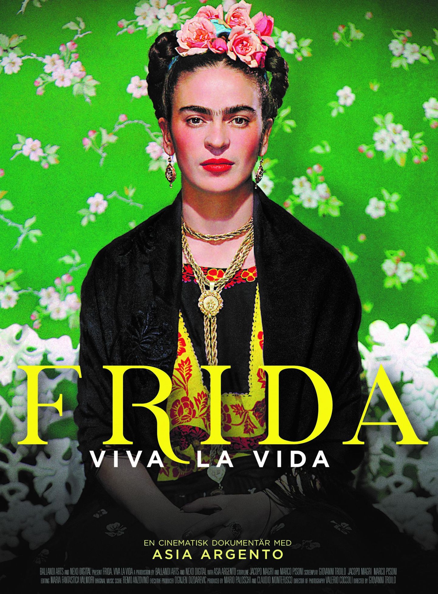 Плакат биографического фильма «Frida. Viva la Vida» о художнице Фриде Кало.