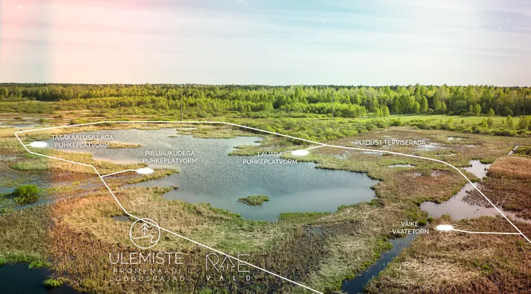 Ülemiste järve lõunakülje promenaadi eskiisprojekt.