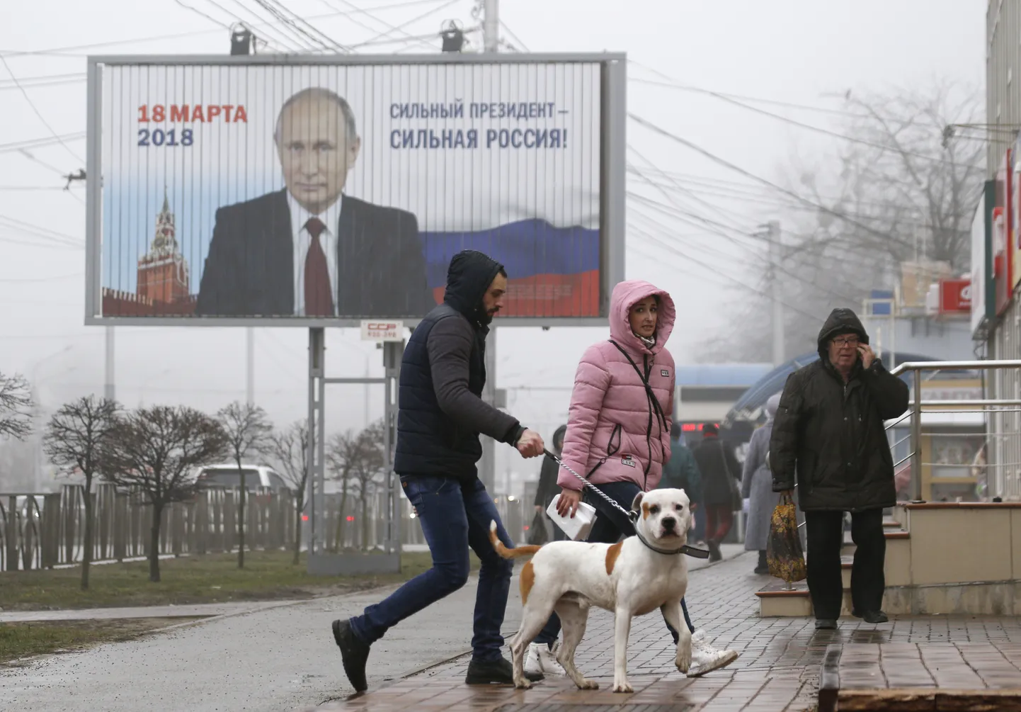 Фото статьи