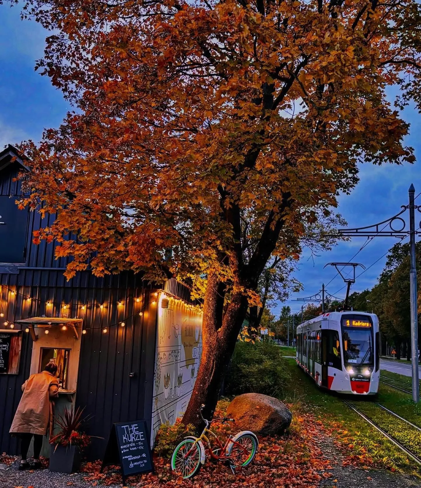Artikli foto
