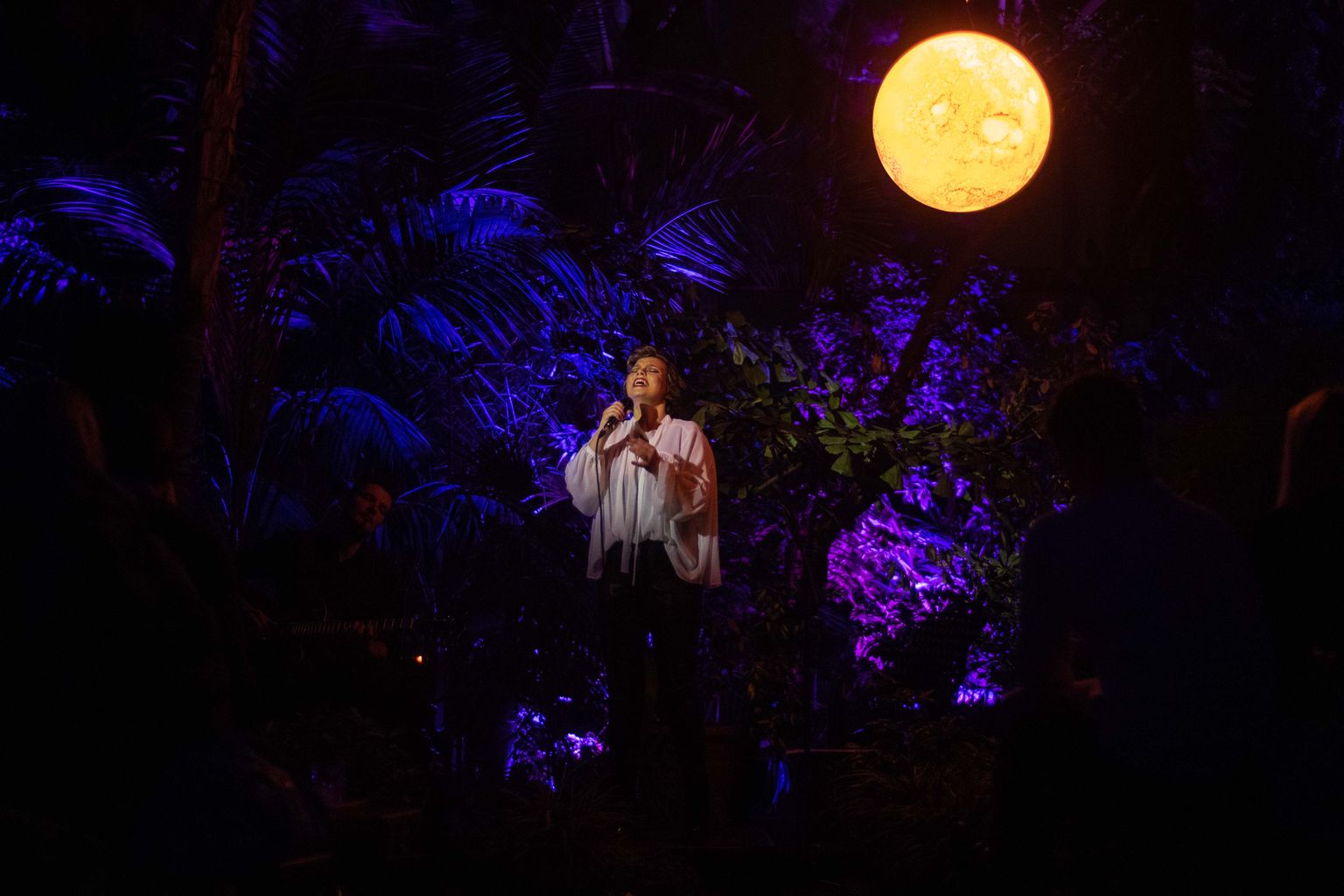 Foto: Lindas Leen un Riharda Lībieša koncerts neona pusgaismā "Sapnis par vasaras nakti"