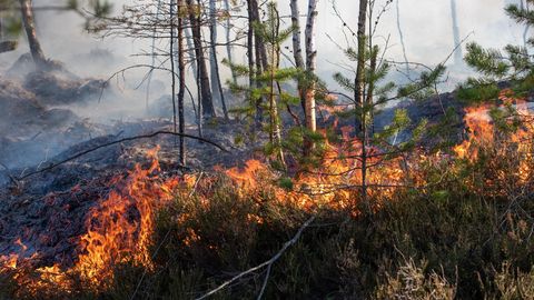 В Эстонии произошло еще два крупных пожара