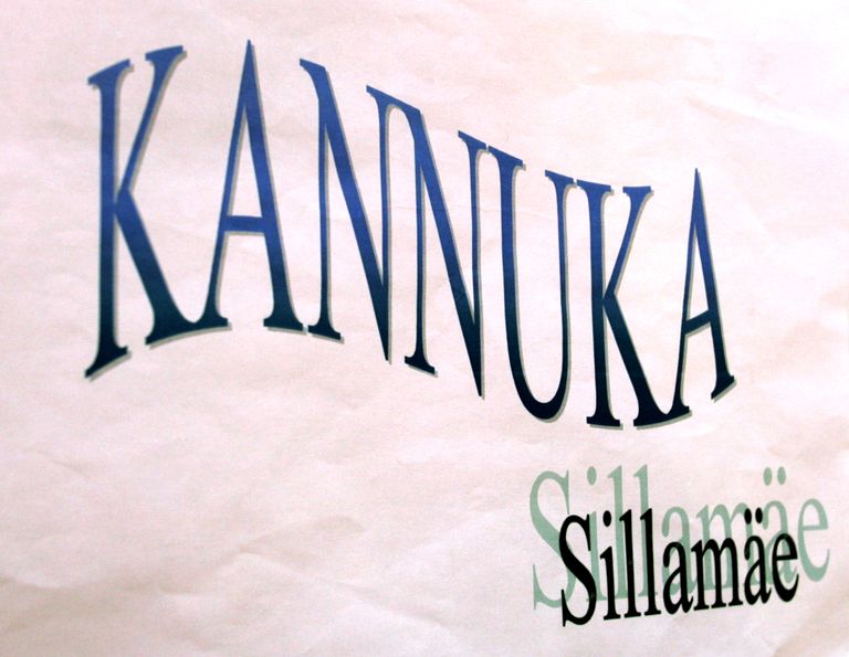Sillamäe Kannuka kool.