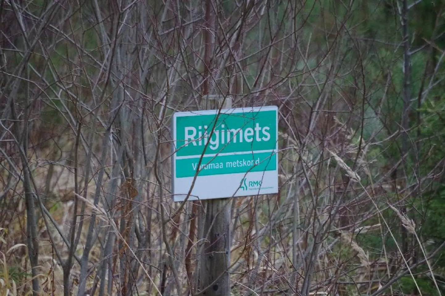 Riigimetsa tähis