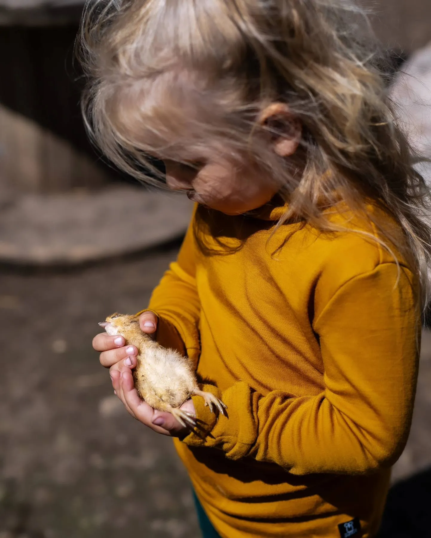 Lapsed on Kallaste hobitallu loomadega tutvust tegema väga oodatud, kuid seal olles tuleks ikkagi arvestada, et tegemist on teiste inimeste koduga.